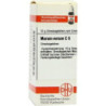 Marum Verum C 6 Globuli (10 g) – PZN 7248619