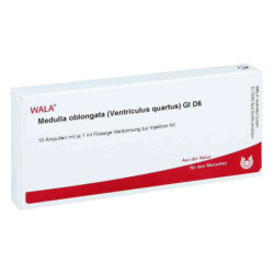 Medulla Oblongata Ven.qu.gl D 6 Ampullen (10X1 ml) – PZN 3356677