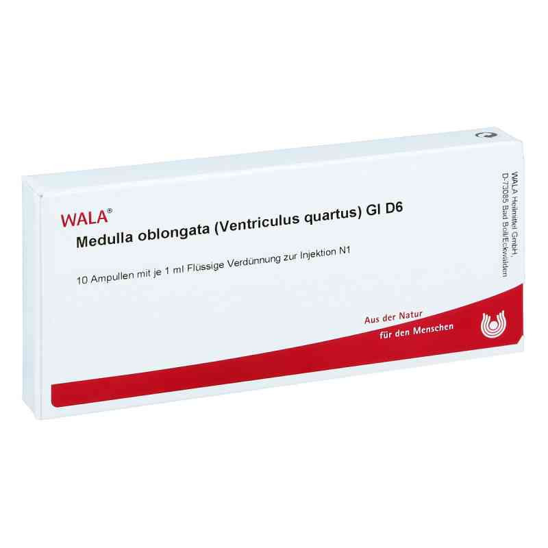 Medulla Oblongata Ven.qu.gl D 6 Ampullen (10X1 ml) – PZN 3356677