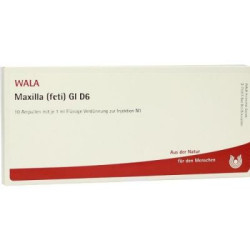 Maxilla Feti Gl D 6 Ampullen (10X1 ml) – PZN 2934497