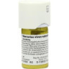 Mercurius vivus natur. D12, 20 G – PZN 7060560
