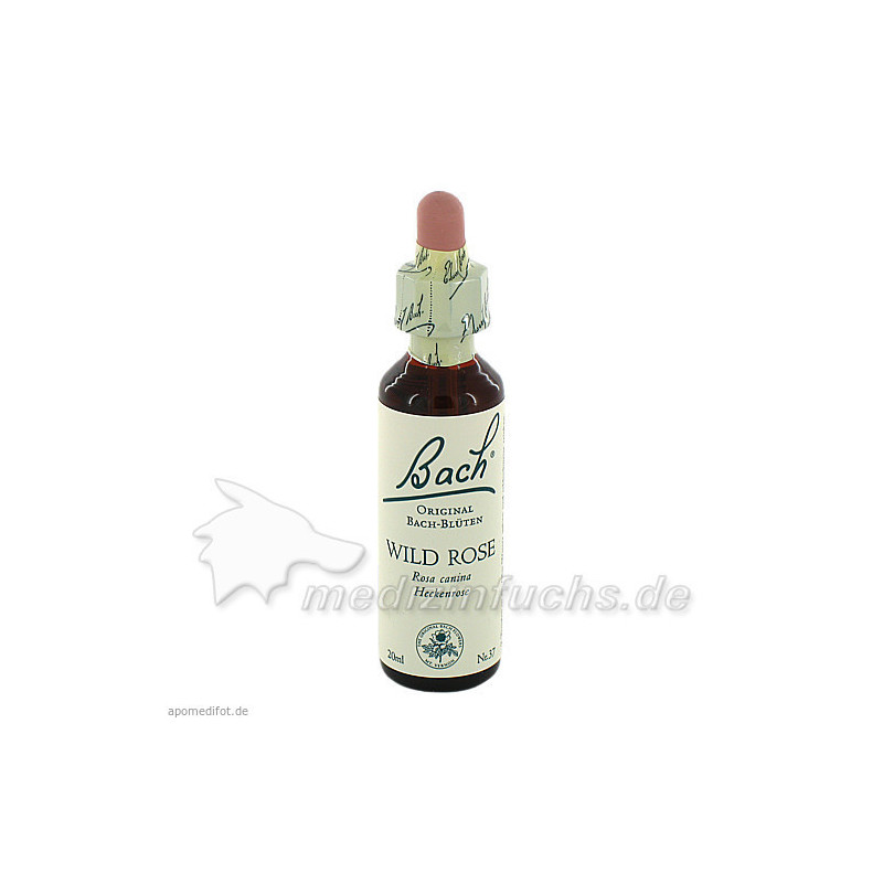 Bach-Blüte Wild Rose, 20 ML – PZN 170127