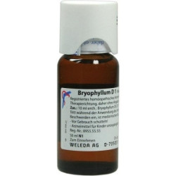 BRYOPHYLLUM D 1, 50 ML – PZN 1613087