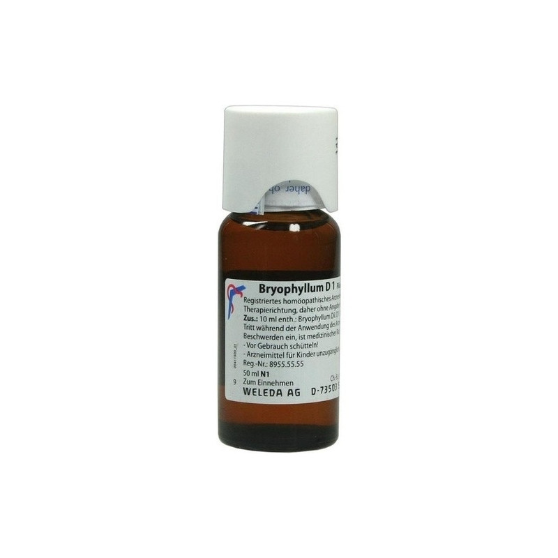 BRYOPHYLLUM D 1, 50 ML – PZN 1613087