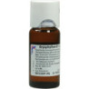 BRYOPHYLLUM D 1, 50 ML – PZN 1613087