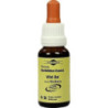 Bachblüten Murnauer Tropfen Wild Oat, 20 ML – PZN 7752571