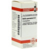 BELLIS PERENNIS D 2, 10 G – PZN 7455057