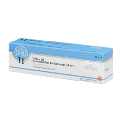 Biochemie Dhu 11 Silicea D 4 Gel (50 g) – PZN 11646188