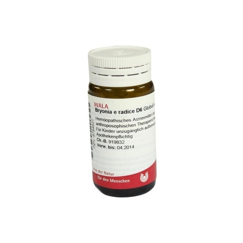 BRYONIA E RADICE D 6, 20 G – PZN 8784627