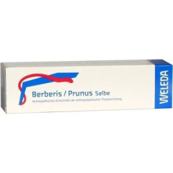 BERBERIS/PRUNUS, 25 G – PZN 1627706