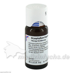 BRYOPHYLLUM ARG CUL D 3, 50 ML – PZN 1571934