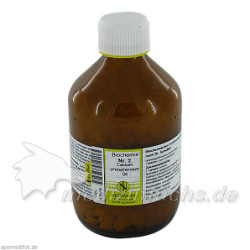 Biochemie Nestmann Nr.2 Calcium phosphoricum D 6, 1000 ST – PZN 4130455