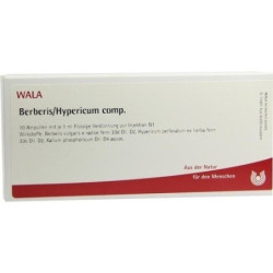 BERBERIS/HYPERICUM COMP, 10X1 ML – PZN 1750890