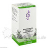 Biochemie 22 Calcium carbonicum D12, 200 ST – PZN 4325265