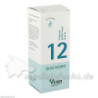 Biochemie Pflüger Nr. 12 Calcium sulfuricum D 6, 100 ML – PZN 6324784