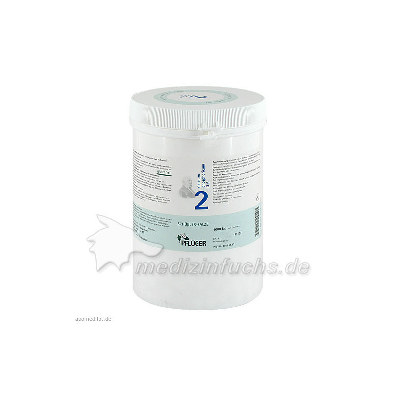 Biochemie Pflüger Nr. 2 Calcium phosphoricum D 6, 4000 ST – PZN 6318803