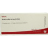 BULBUS OLFACTORIUS GL D30, 10X1 ML – PZN 2909720