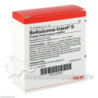 BELLADONNA INJ S, 10 ST – PZN 4562002