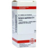 Berberis Aquifolium D 4 Tabletten (80 stk) – PZN 2894697