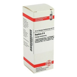 Baptisia D 6 Dilution (20 ml) – PZN 4206572