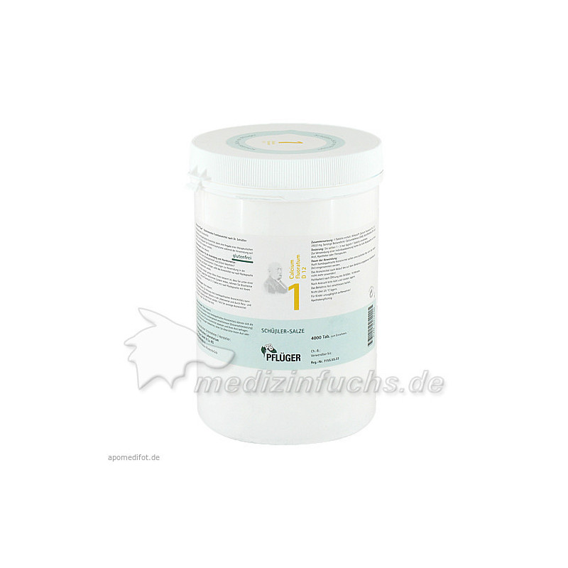 Biochemie Pflüger Nr. 1 Calcium fluoratum D 12, 4000 ST – PZN 6318766