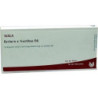 BERBERIS E FRUCTIBUS D 6, 10X1 ML – PZN 2883788