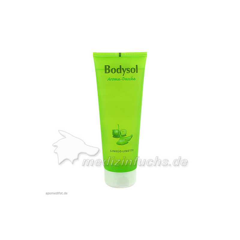 Bodysol Aroma-Duschgel Ginkgo-Limette, 250 ML – PZN 9001314