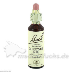 Bach-Blüte Chestnut Bud, 20 ML – PZN 47734