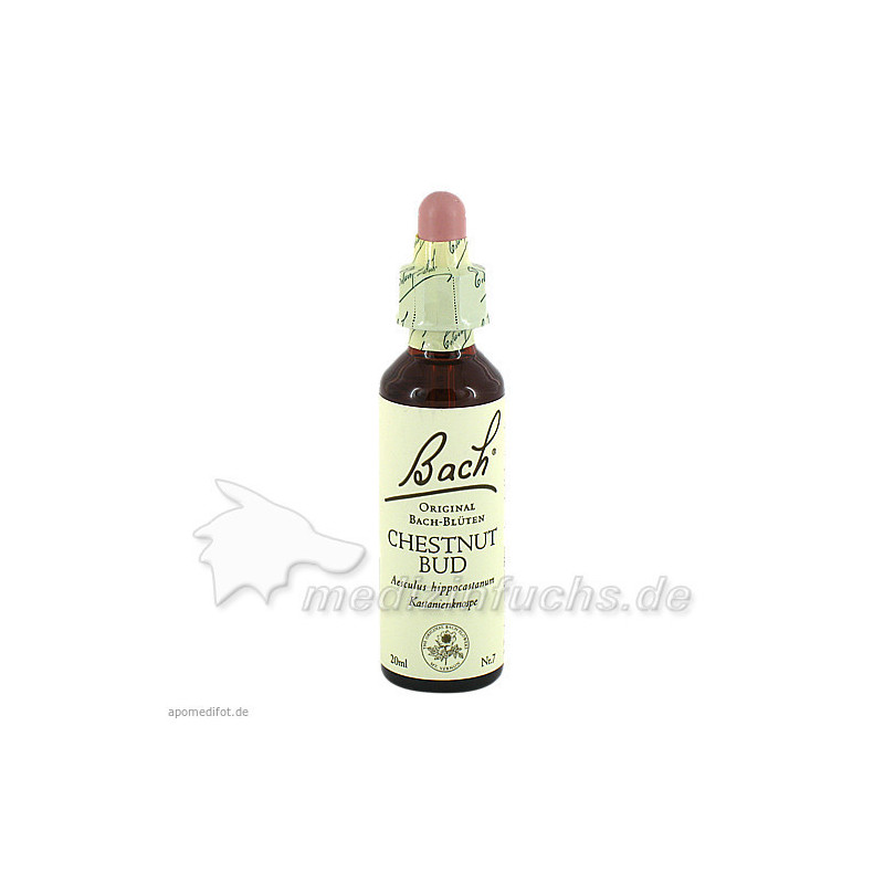Bach-Blüte Chestnut Bud, 20 ML – PZN 47734