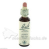 Bach-Blüte Aspen, 20 ML – PZN 39723