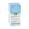 Biochemie Dhu 11 Silicea D 12 Globuli (10 g) – PZN 10545976