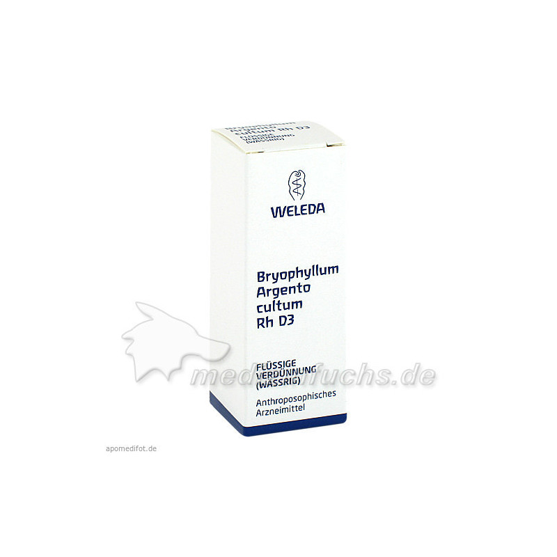 BRYOPHYLLUM ARG CUL RH D 3, 20 ML – PZN 1629711