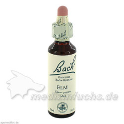 Bach-Blüte Elm, 20 ML – PZN 53261