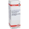 BELLIS PERENNIS D 2, 20 ML – PZN 4207117