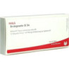 BINDEGEWEBE GL D 4, 10X1 ML – PZN 2831366