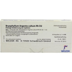 BRYOPHYLLUM ARG CUL RH D 2, 8X1 ML – PZN 1618015