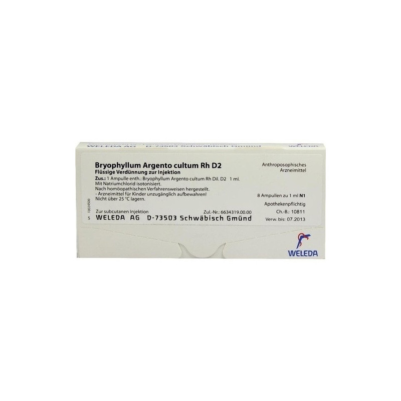 BRYOPHYLLUM ARG CUL RH D 2, 8X1 ML – PZN 1618015