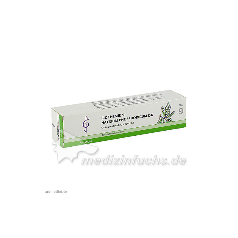 Biochemie 9 Natirum phosphoricum D 6, 100 ML – PZN 4535287