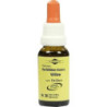 Bachblüten Murnauer Tropfen Willow, 20 ML – PZN 7752619
