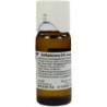 BELLADONNA PLANTA TOTA D 6, 50 ML – PZN 1572282