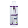 Best Body Nutrition L-carnitin Liquid (1000 ml) – PZN 6080649