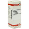 Bryonia D 2 Dilution (20 ml) – PZN 1761209