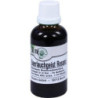BAERLAUCHGEIST RESANA, 50 ML – PZN 2483681