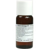 Ammi visnaga D1, 50 ML – PZN 7005012