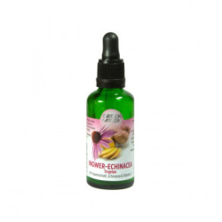 Bio Ingwer-EchinaceaTropfen, 50 ML – PZN 13973661