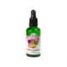 Bio Ingwer-EchinaceaTropfen, 50 ML – PZN 13973661