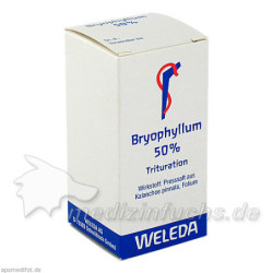 BRYOPHYLLUM 50%, 20 G – PZN 2591904