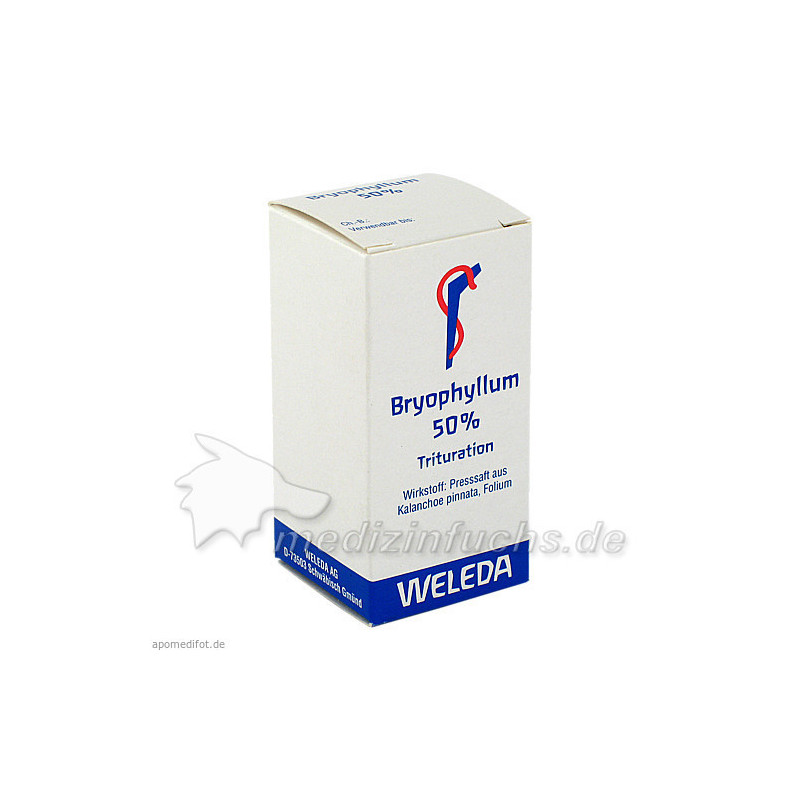 BRYOPHYLLUM 50%, 20 G – PZN 2591904