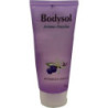 BODYSOL AROMA-DUSCHGEL Brombeer-Vanille, 100 ML – PZN 6802232