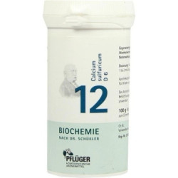 Biochemie Pflüger Nr. 12 Calcium sulfuricum D 6, 100 G – PZN 6323537